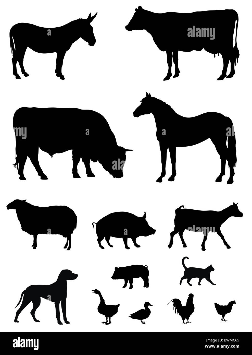 Illustration of farm animals silhouettes Stock Photo - Alamy