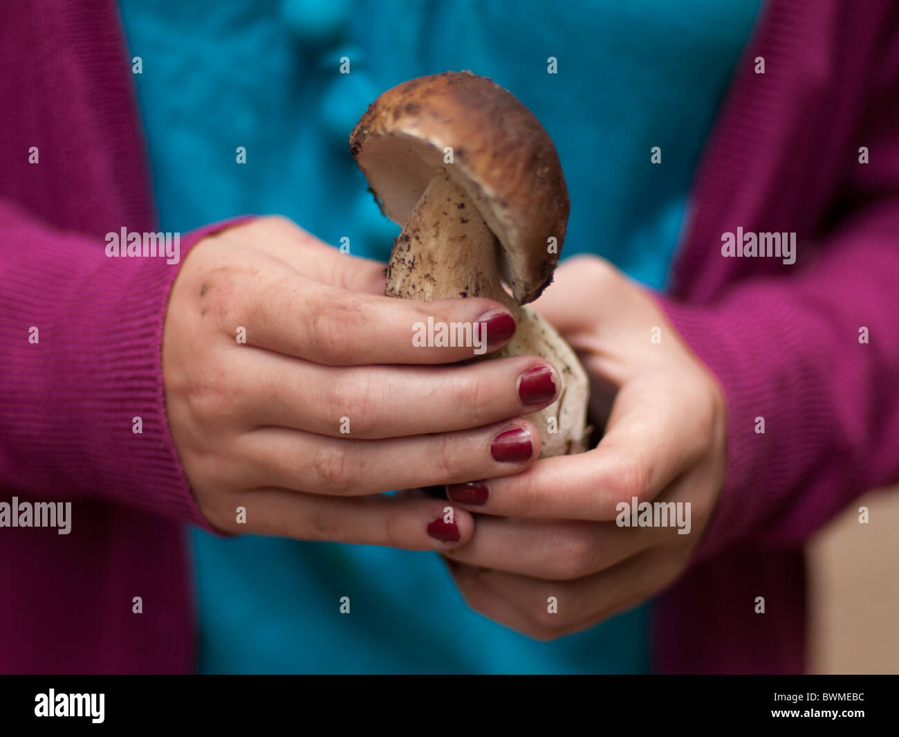 Young girl holds newly picked Cep or Penny Bun mushroom picked in Czech forest Stock Photo