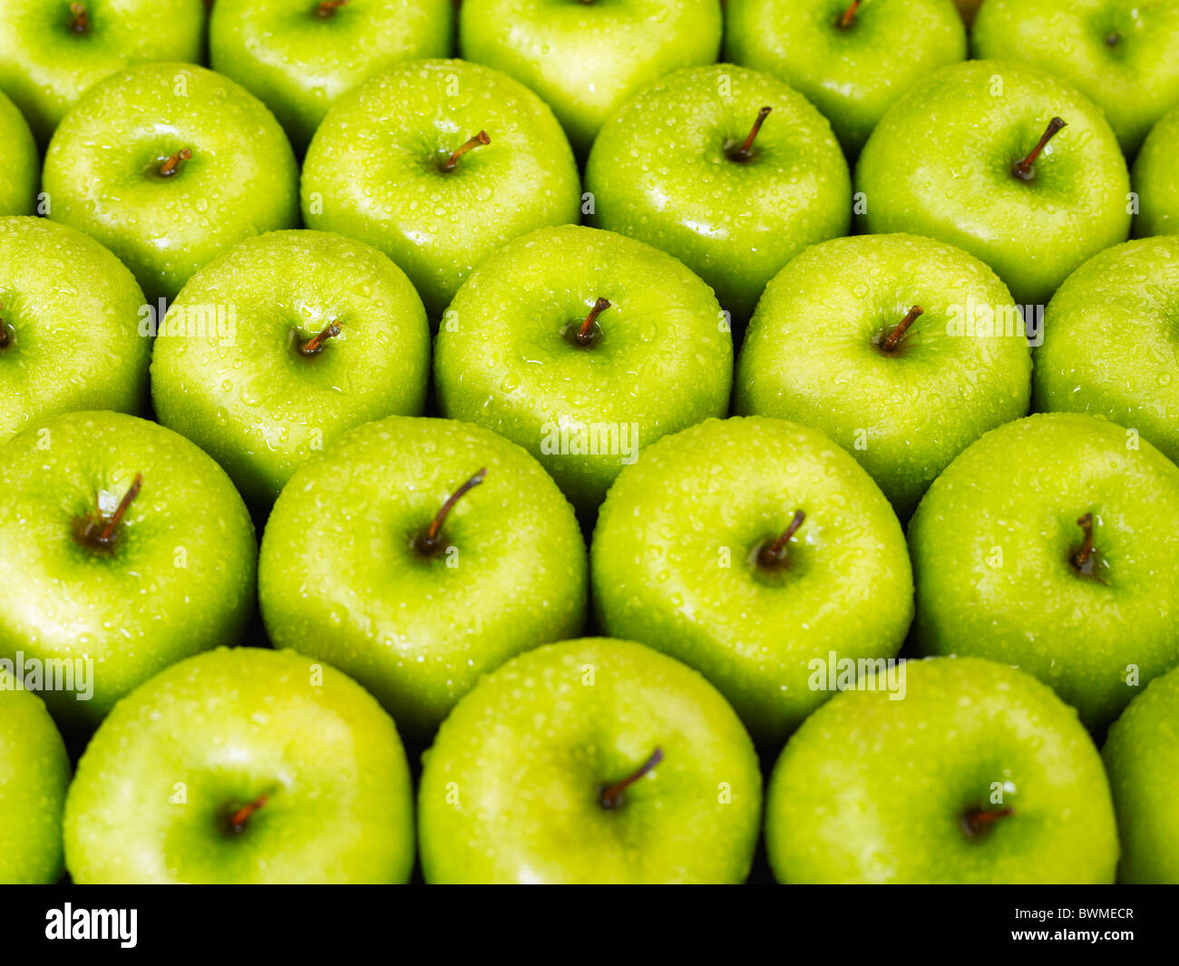 large group of green apples in a row. Horizontal shape Stock Photo