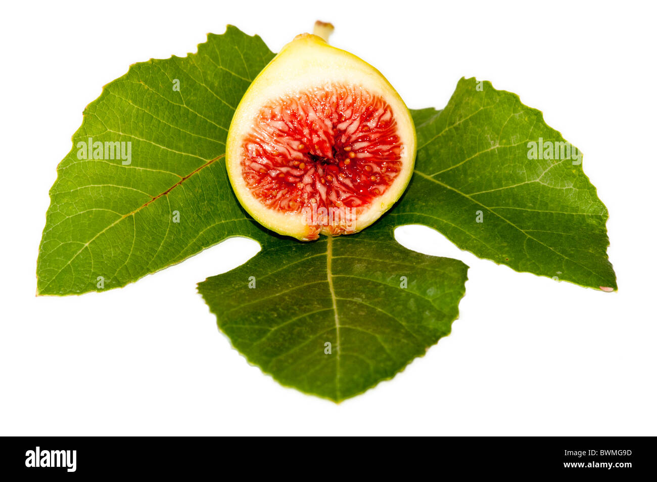 Cut green fig showing the sticky red seeds in the centre. on a green