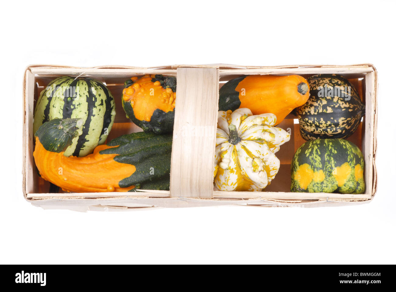 beautiful decorative pumpkins Stock Photo - Alamy