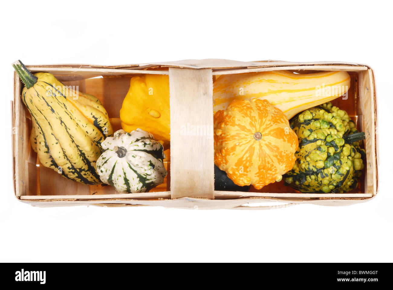 beautiful decorative pumpkins Stock Photo - Alamy