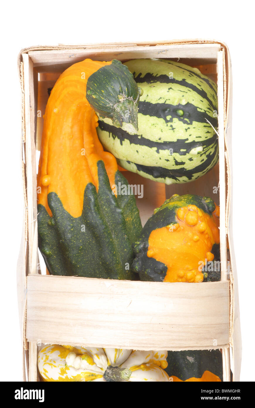 beautiful decorative pumpkins Stock Photo - Alamy
