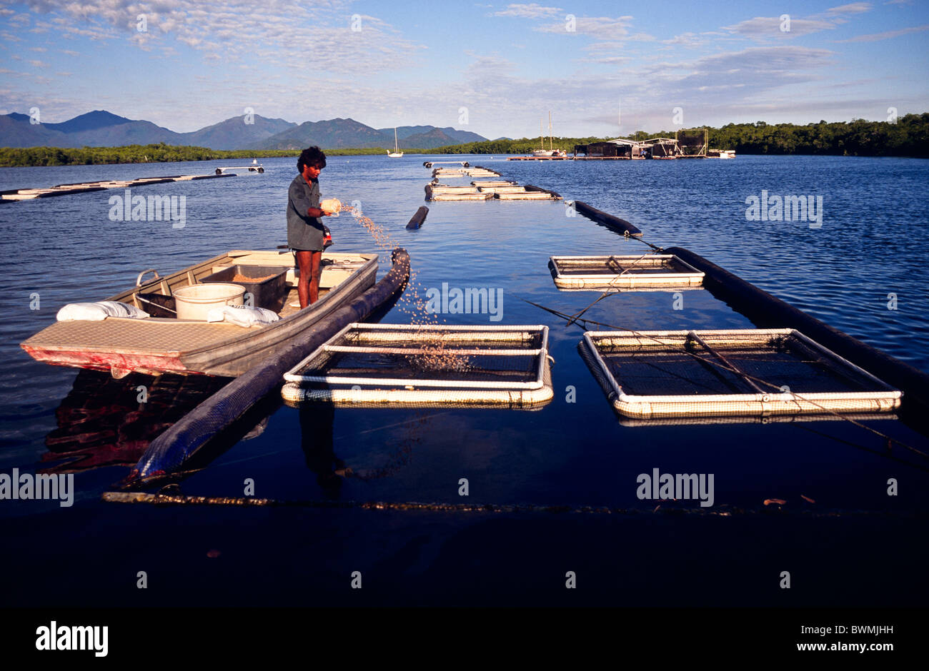 Barramundi fish farm, Hinchinbrook Island, Queensland, Australia Stock