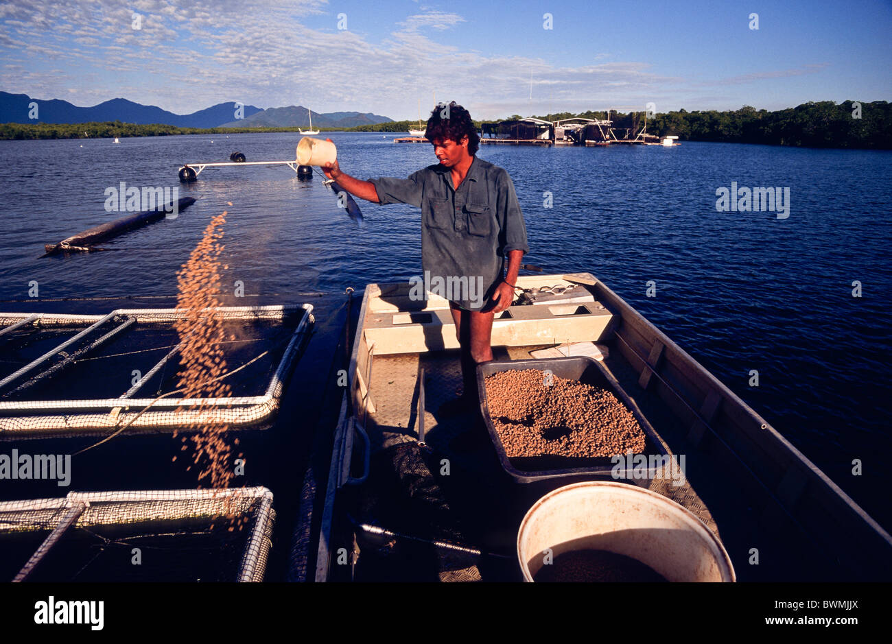 Barramundi fish farm, Hinchinbrook Island, Queensland, Australia Stock