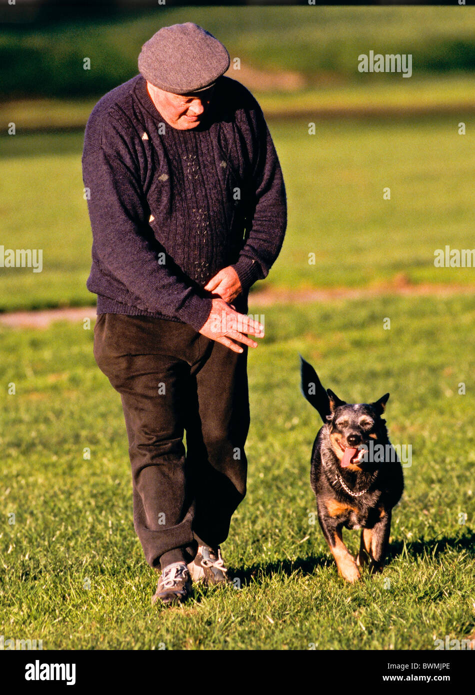 Dog obedience training Stock Photo Alamy