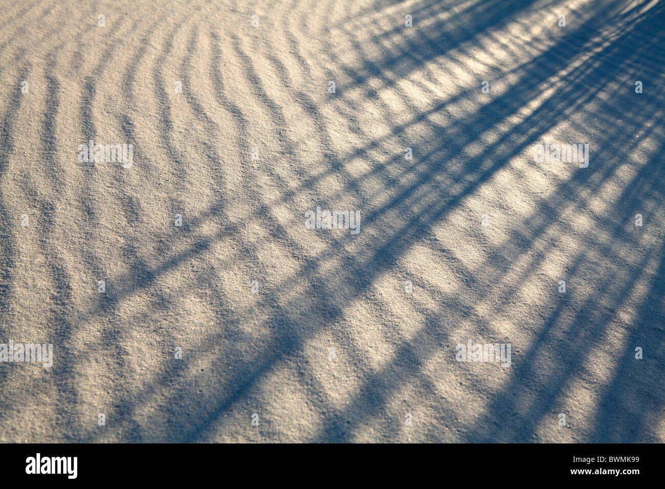Undulating sand pattern background with long, dune grass shadows. Perfect white sand. Gulf Coast, Florida. Stock Photo