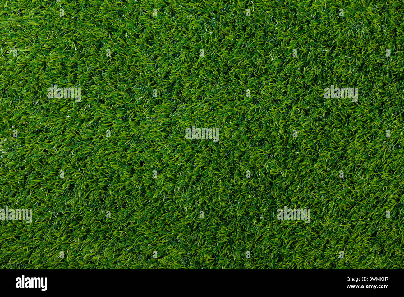 Photo of grass for background use. Stock Photo