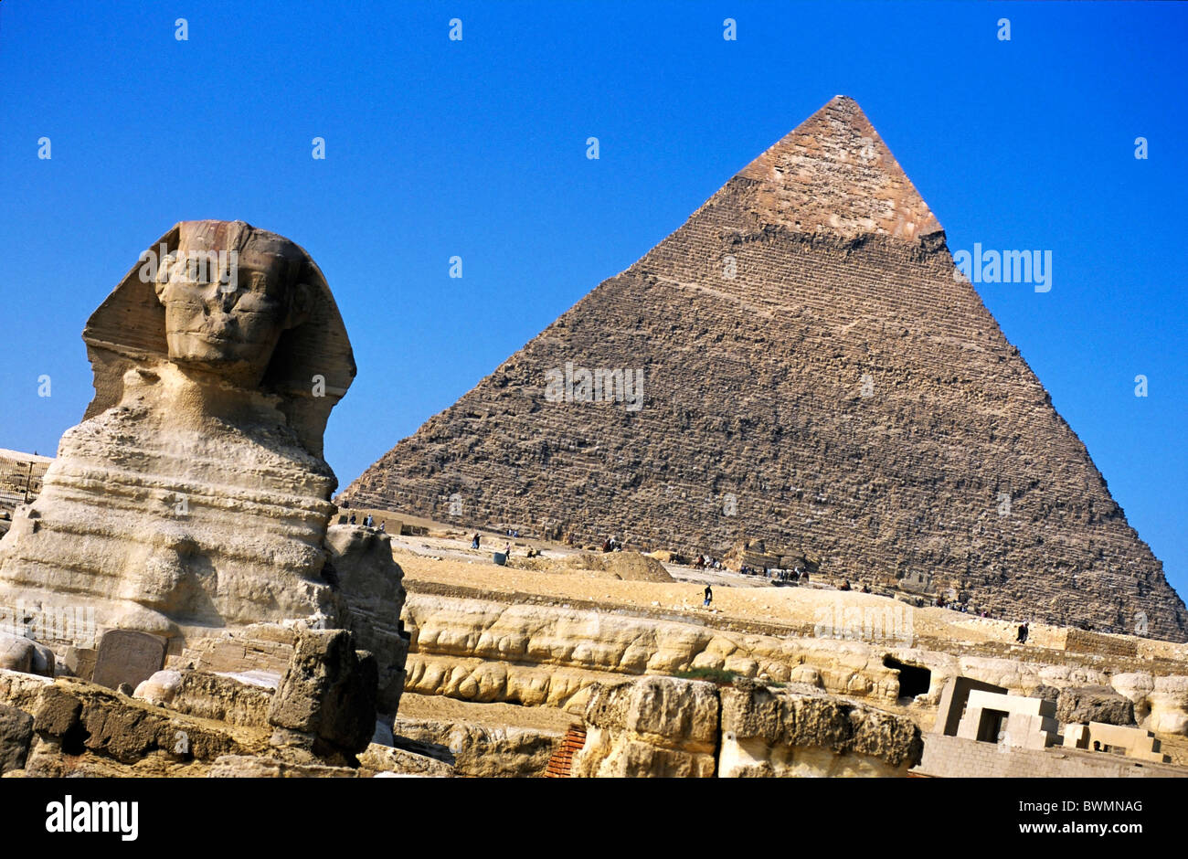 Sphinx with the Khephren Pyramid in the background, Giza, Egypt. Stock Photo