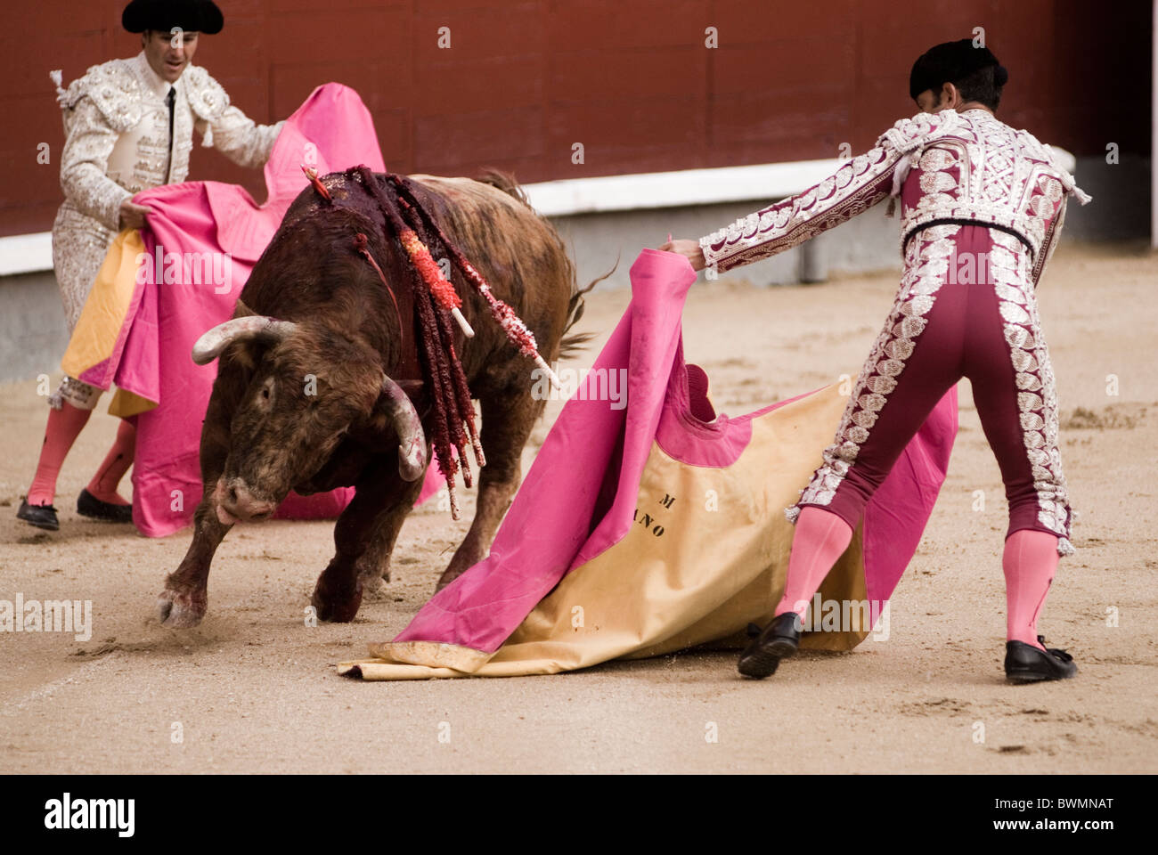 Bullfight in Las Ventas bullring. Madrid . Spain . Stock Photo