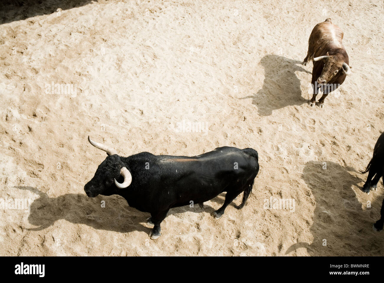Bullfighting in spain hi-res stock photography and images - Alamy