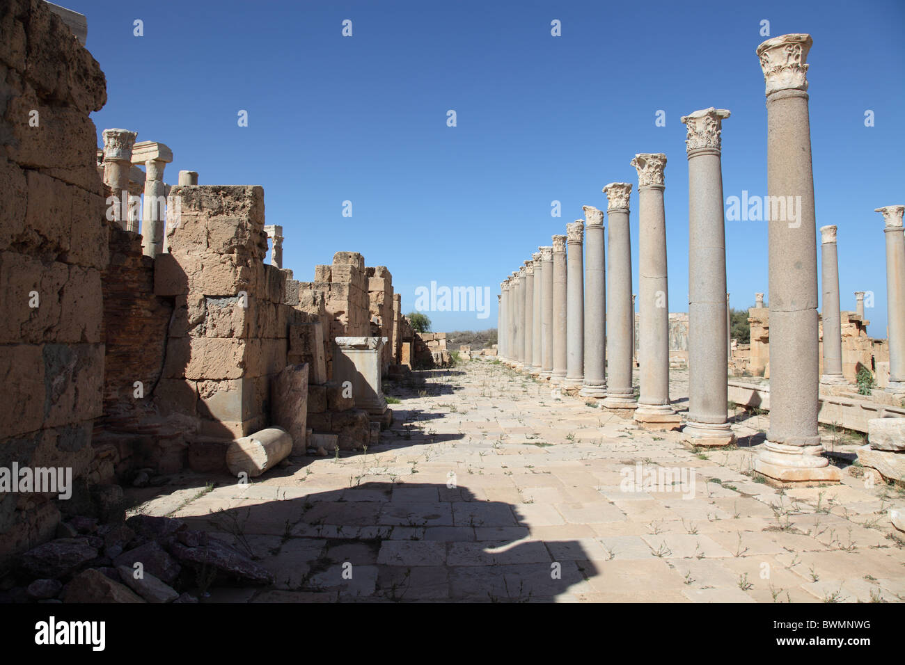 leptis magna, columns to forum Stock Photo