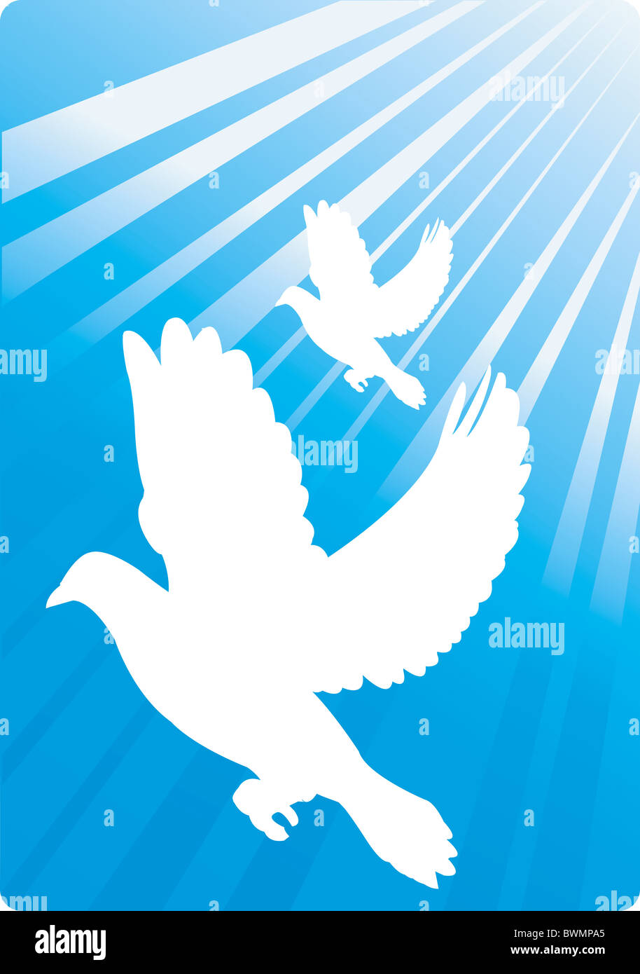 Баннер с голубями. Голубь символ победы. Голубы победы. Ujkegm yf 9 vfz. Голубы победы.