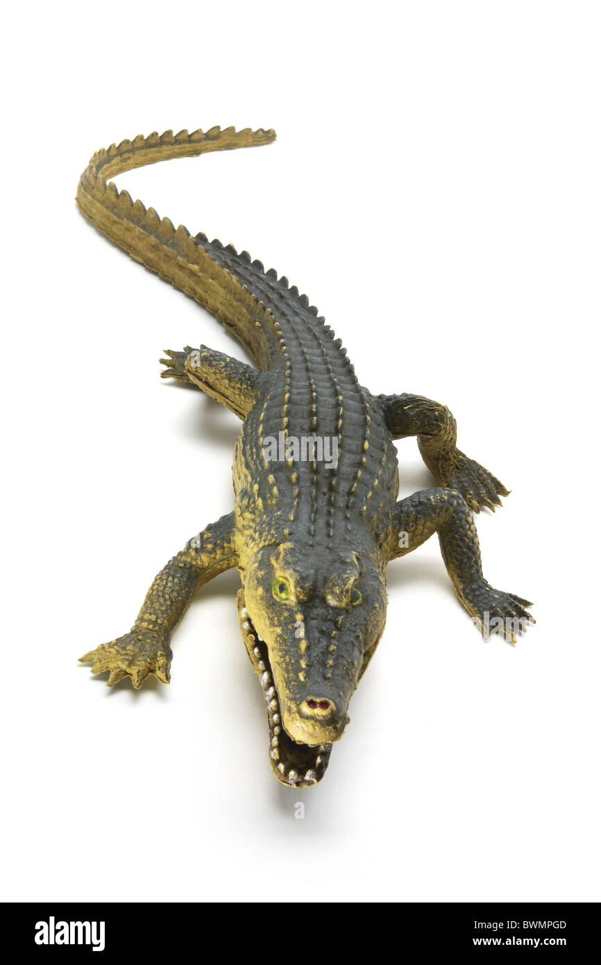 Rubber Crocodile Stock Photo