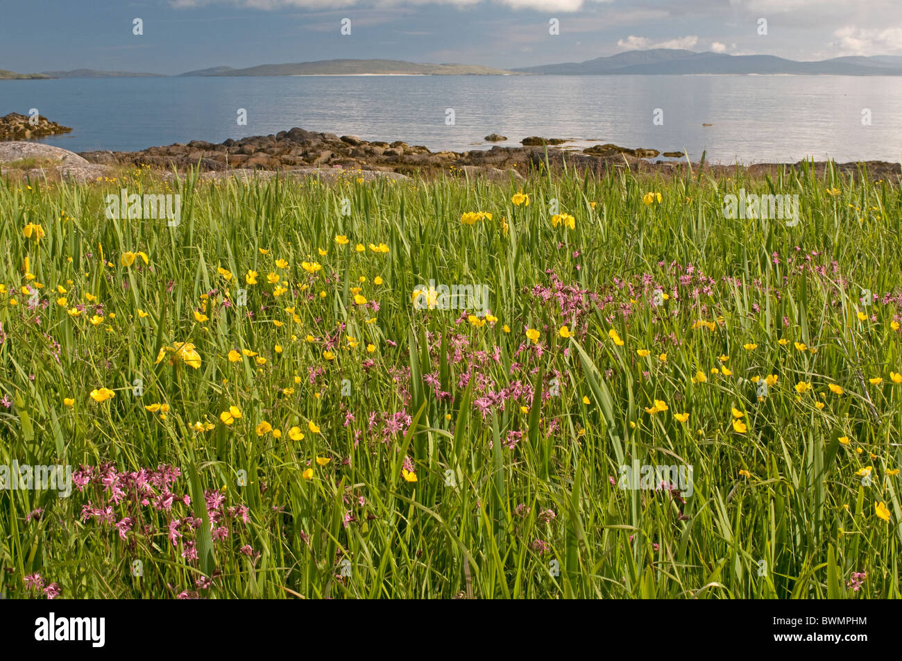 South Uist Coastal Machair At Pollachar At The Pol A' Charra Standing 