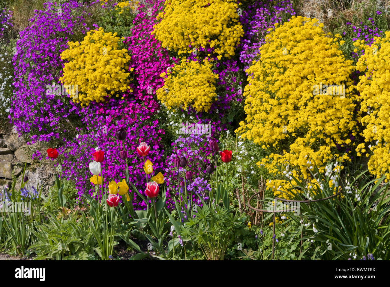 English Cottage flower gardenwith spring flowers Stock Photo - Alamy