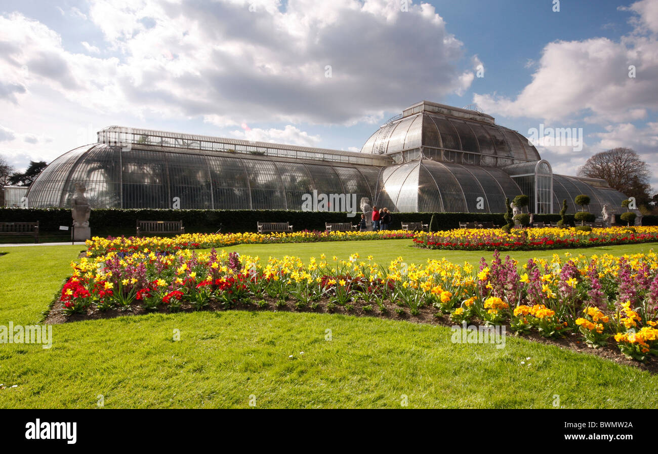 The Palm house at Kew Gardens in London Stock Photo Alamy