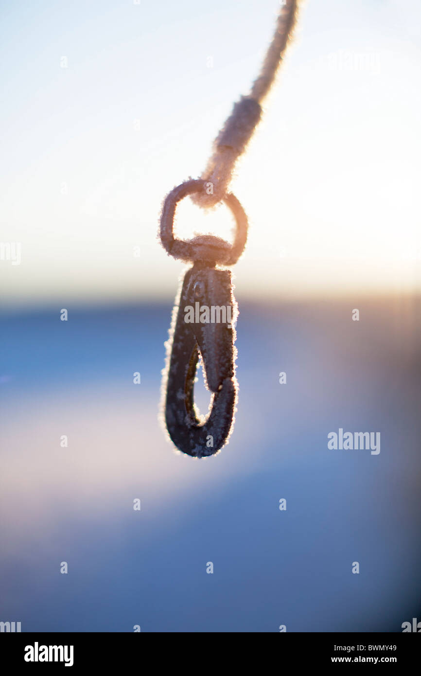The clasp of a dog lead covered in frost Stock Photo Alamy