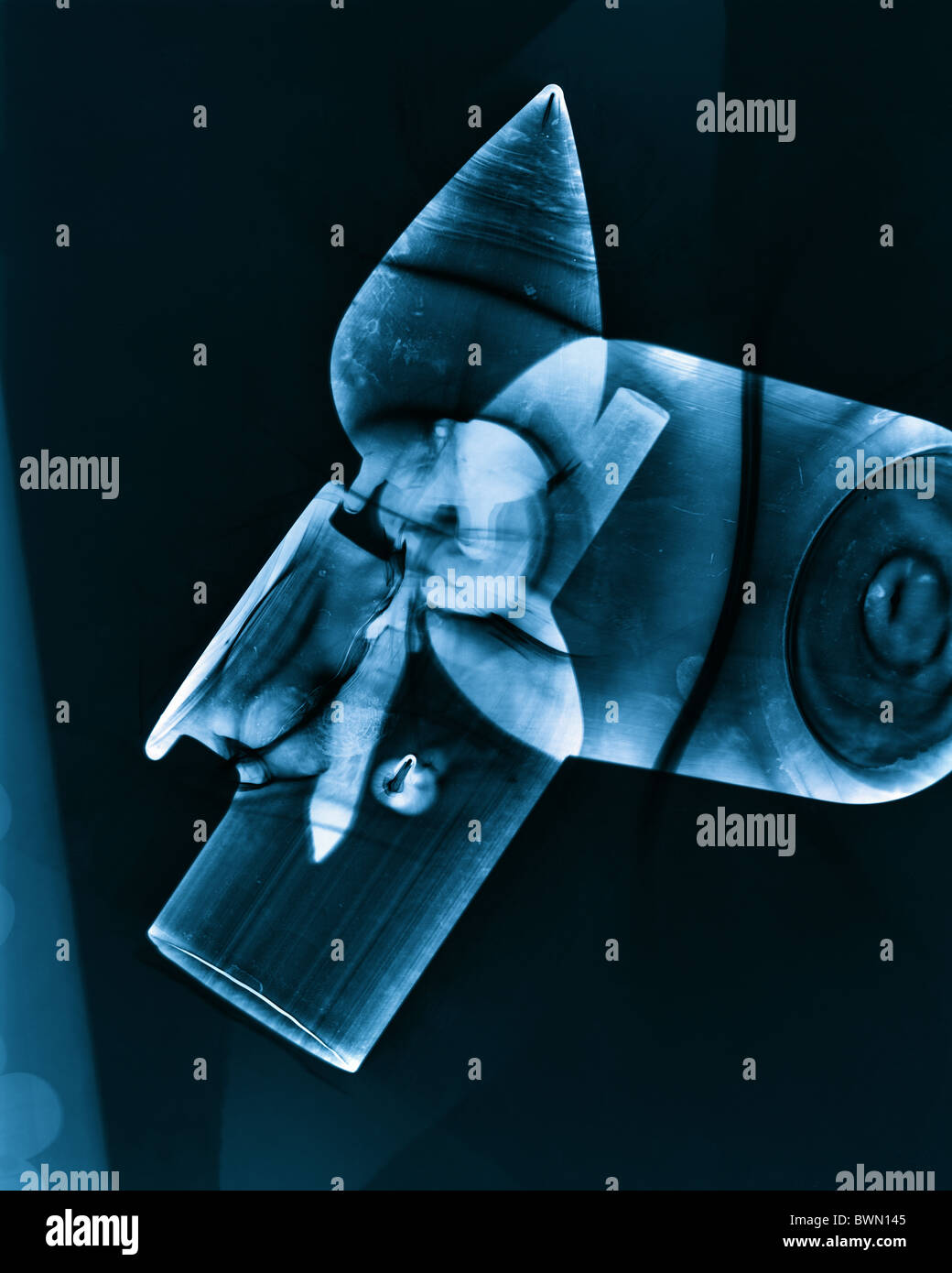 traditional photographic darkroom practice and photogram production