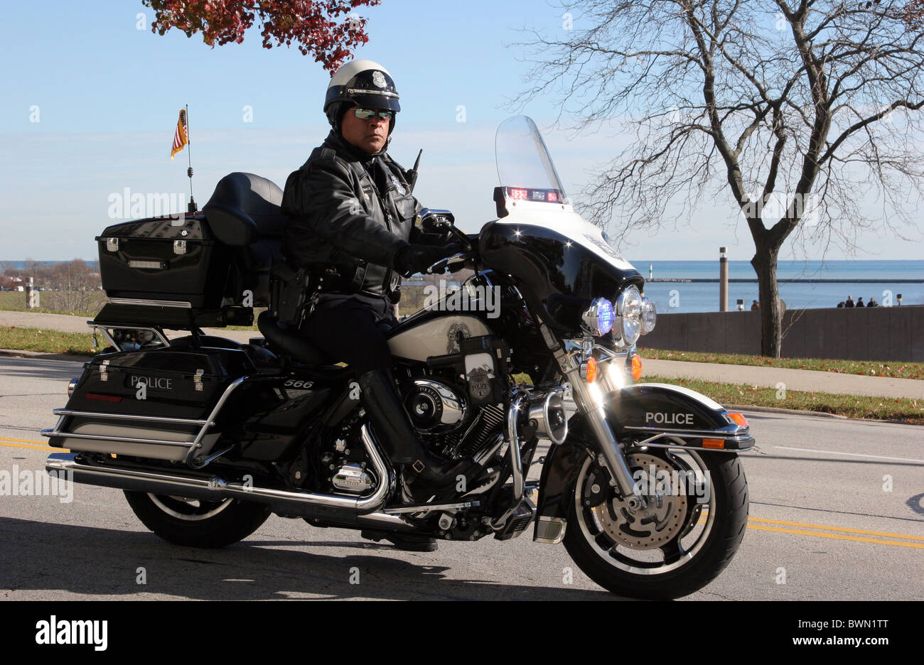 What to wear for veterans day