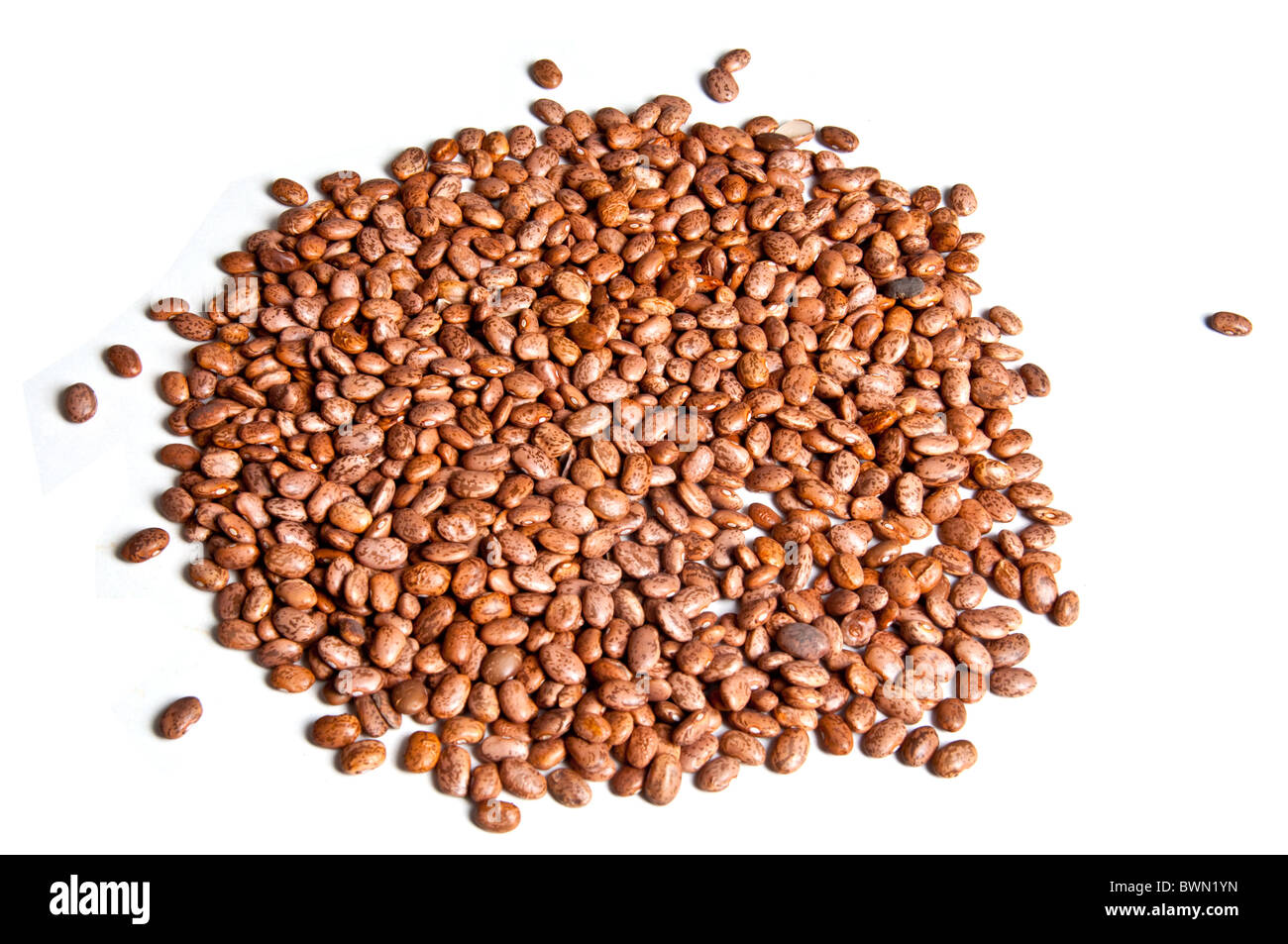 Pile of dried pinto beans, isolated on white background Stock Photo Alamy