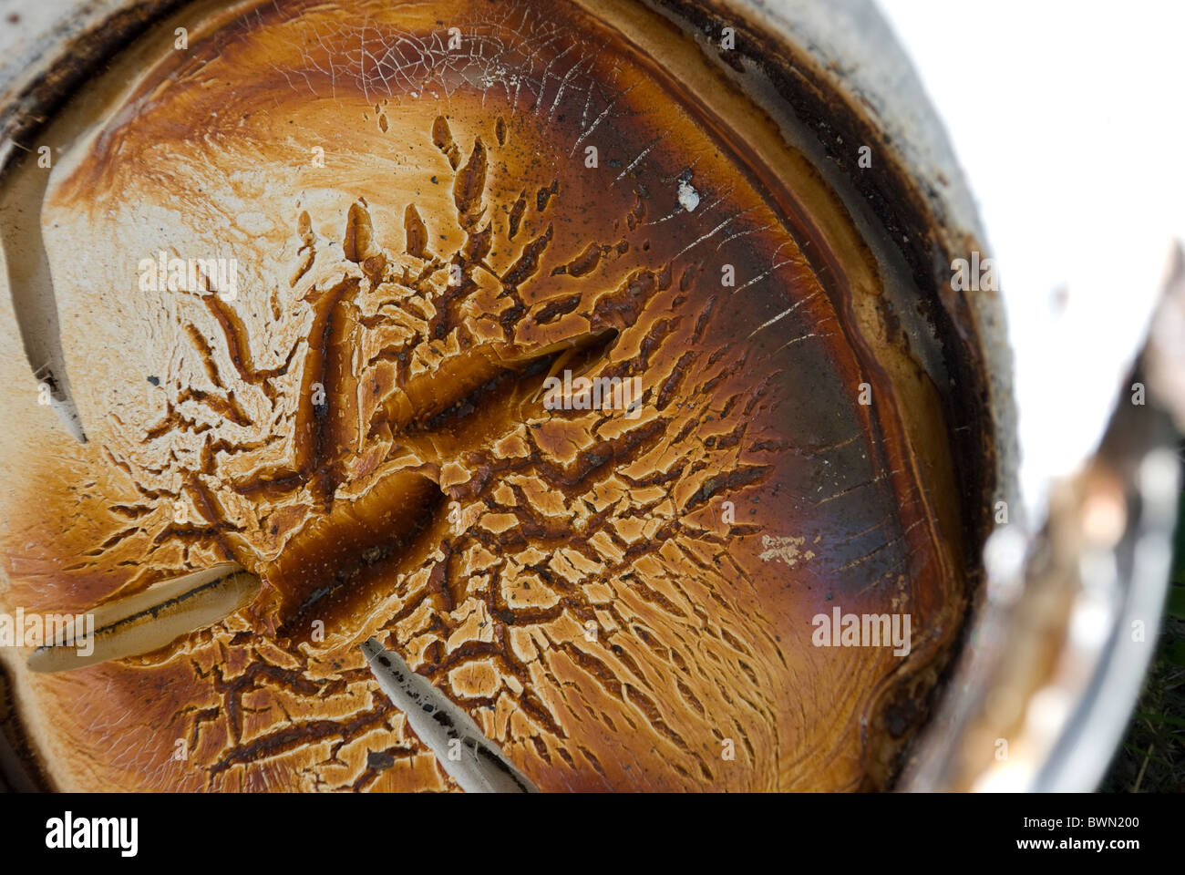 fissures of hardened white paint in gallon paint can Stock Photo Alamy