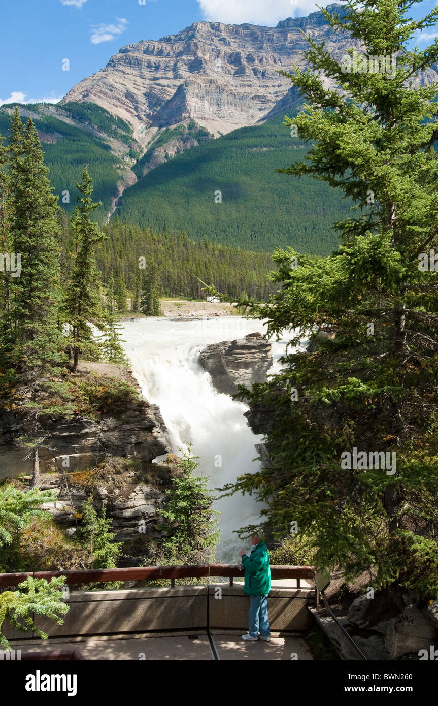 Athabasca Falls, Jasper National Park, Alberta, Canada. Stock Photo