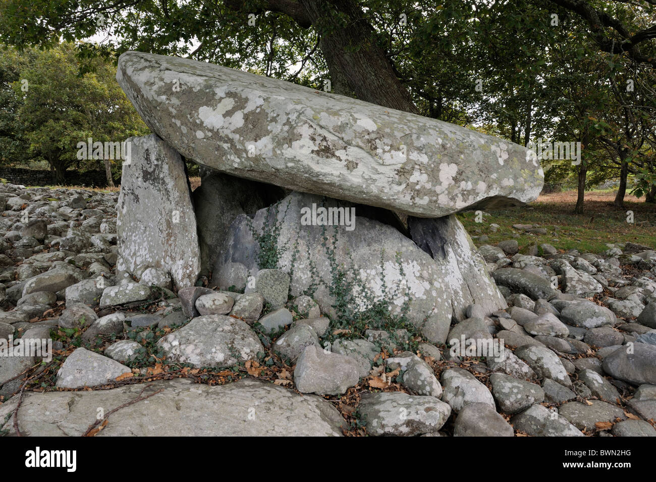 Dyffryn Ardudwy 6000 year old prehistoric megalithic dolmen tomb. Western burial chamber in long barrow cairn. Gwynedd Wales, UK Stock Photo