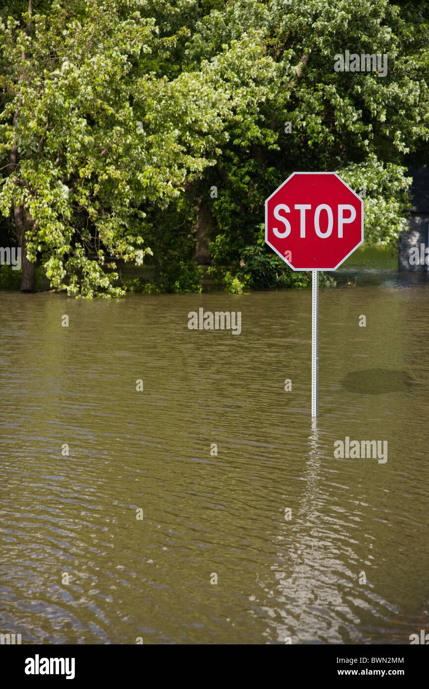 USA, Missouri, 'Stop' sign in flood Stock Photo