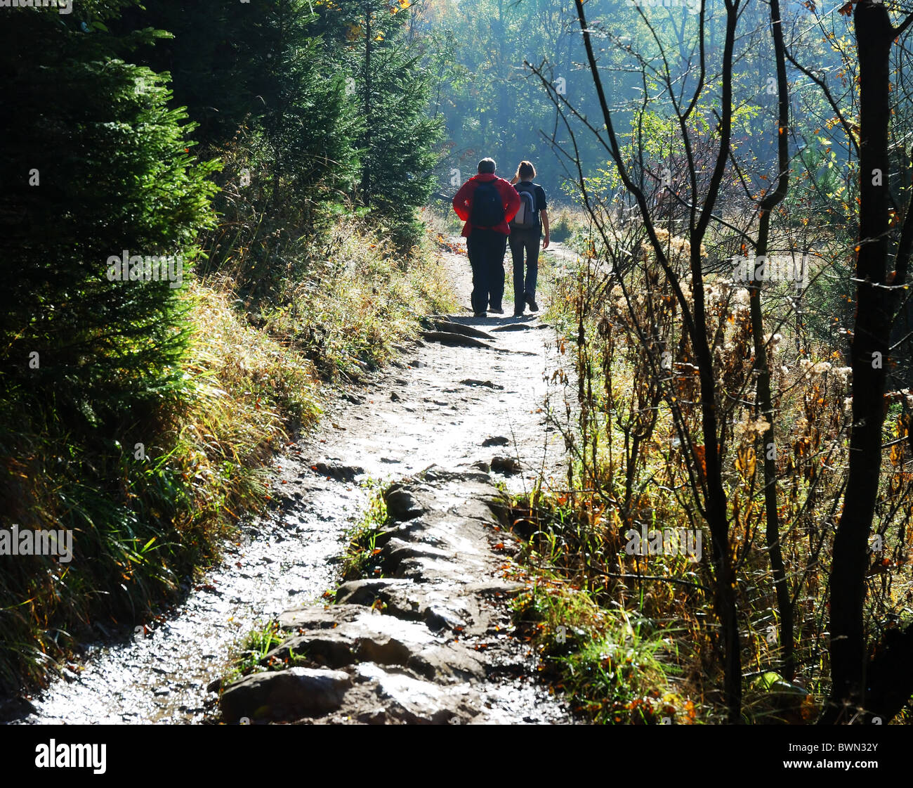 Hiking seniors male friends hi-res stock photography and images - Alamy