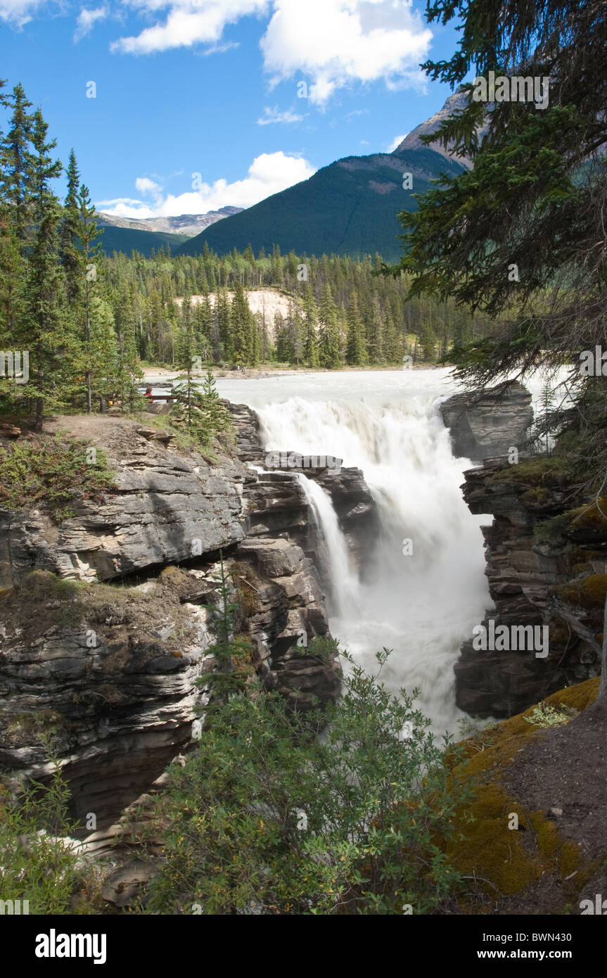 Alberta, Canada. Athabasca Falls in Jasper National Park Stock Photo