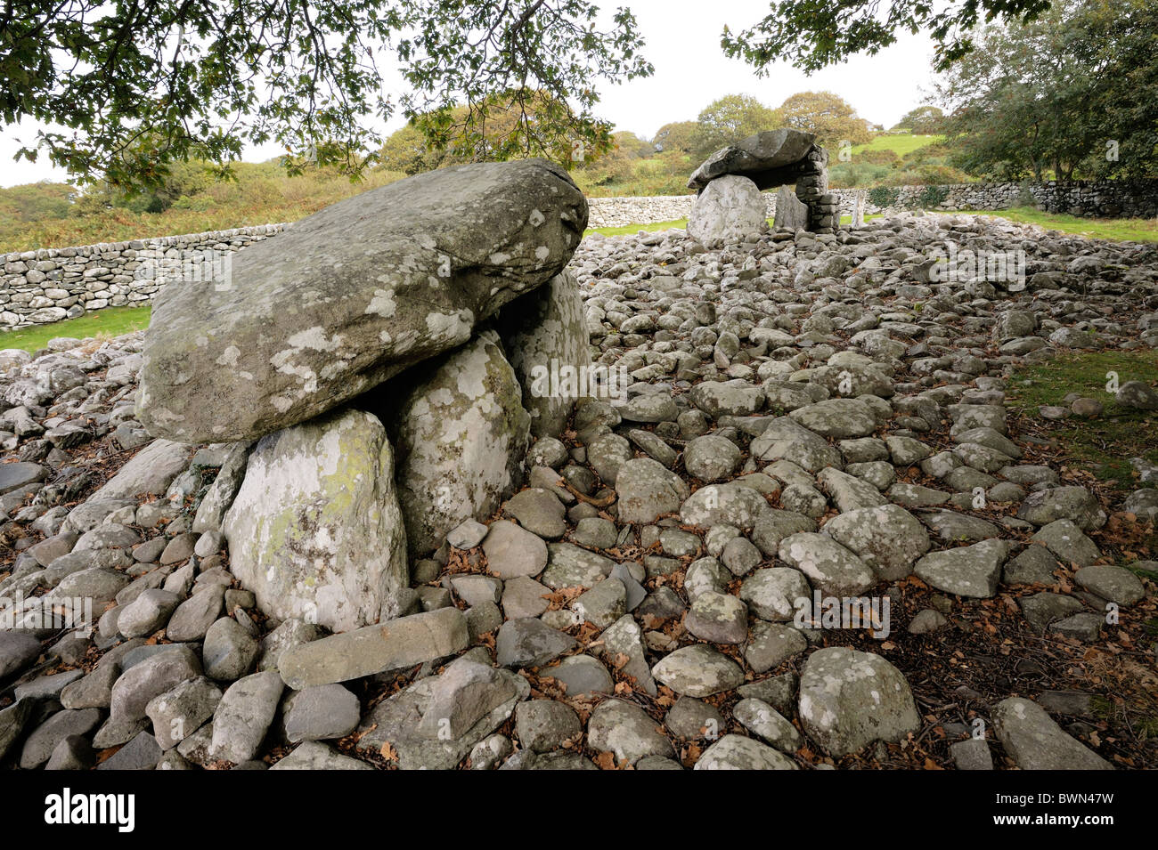 Dyffryn Ardudwy 6000 year old prehistoric megalithic dolmen tomb. Two burial chambers in long barrow cairn. Gwynedd, Wales, UK Stock Photo