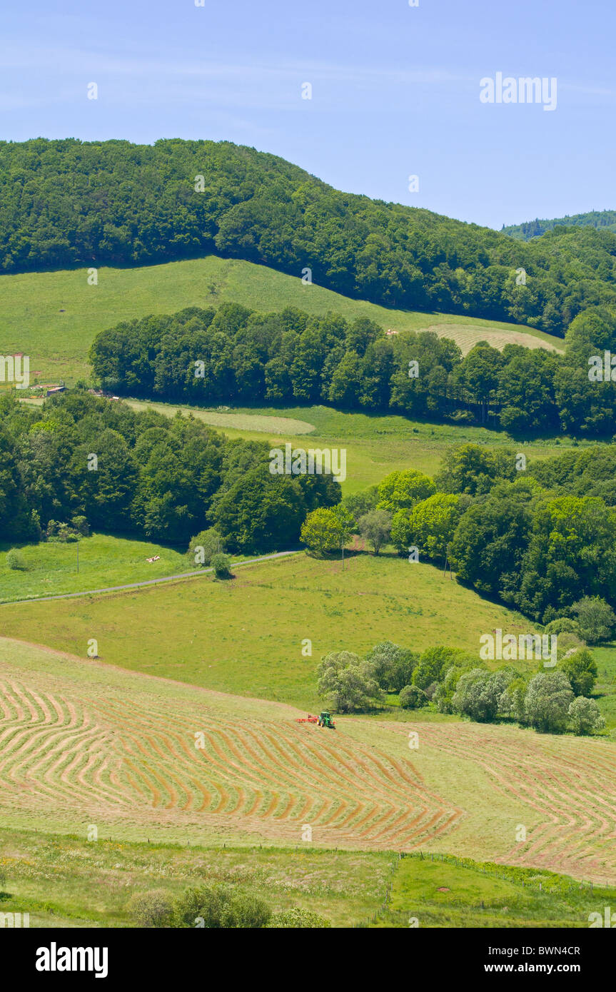 Summer pasture in Auvergne, France Stock Photo