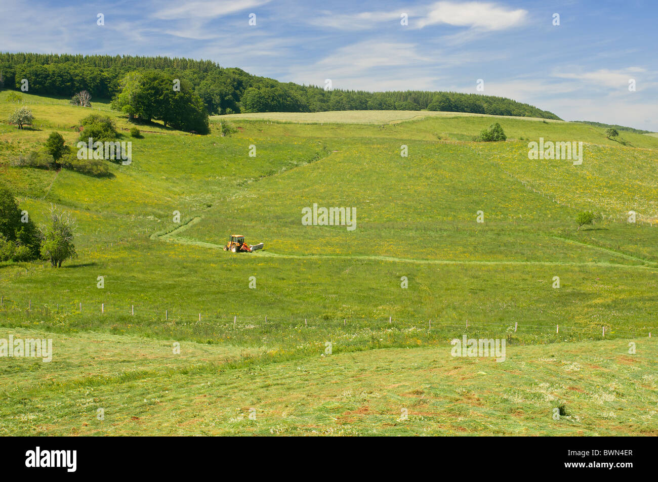 Mountain  landscape with summer pasture in Auvergne, France Stock Photo