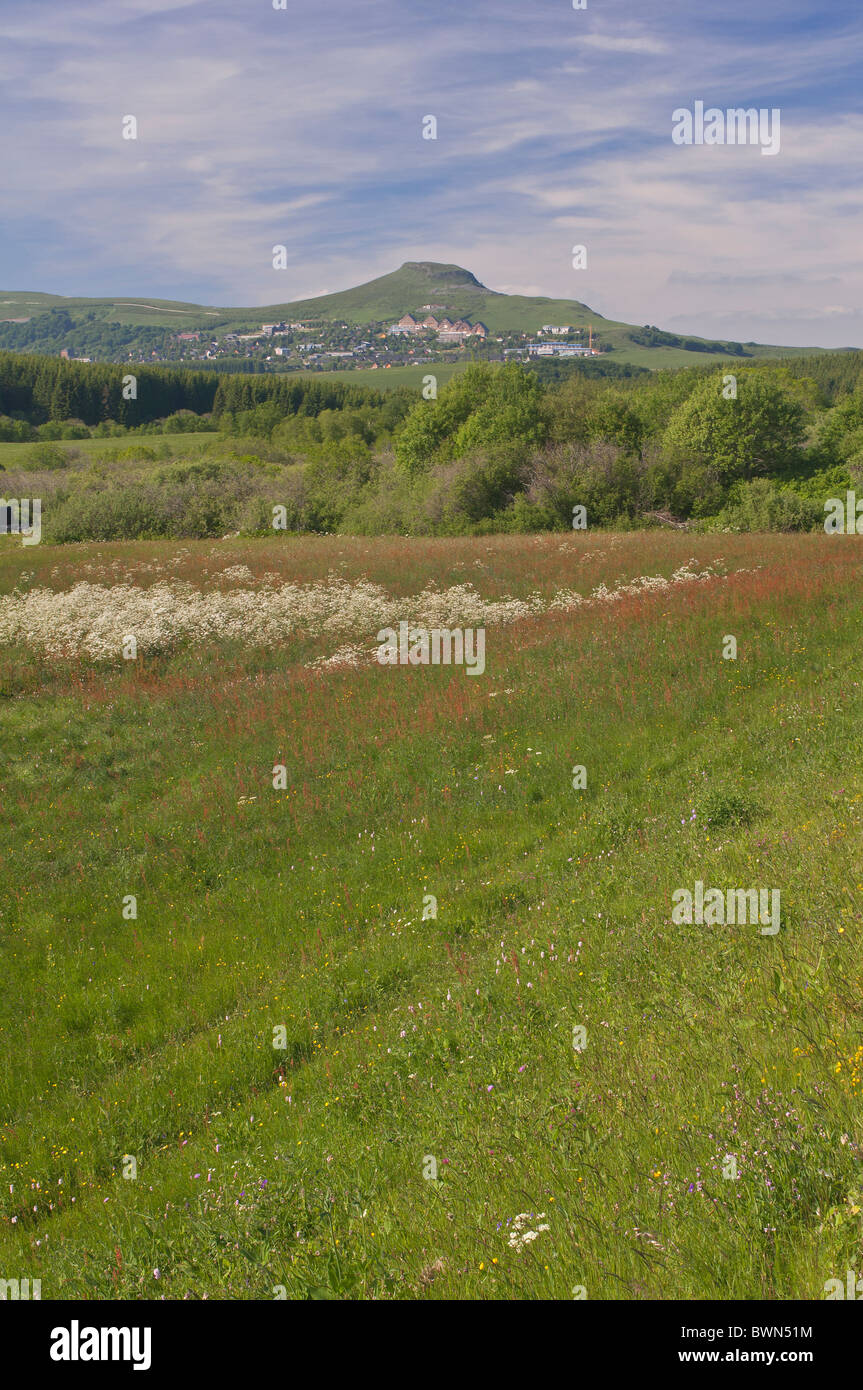 Mountain  landscape with summer pasture, Auvergne, France Stock Photo