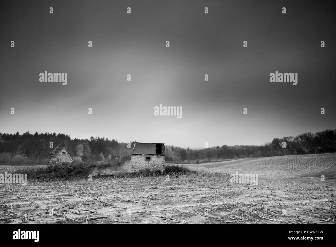 May colour uk Black and White Stock Photos Images Alamy