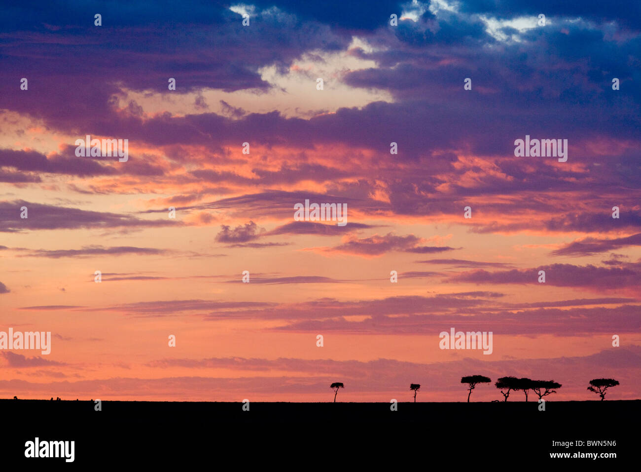 African sunset over the Masai Mara, Kenya Stock Photo - Alamy