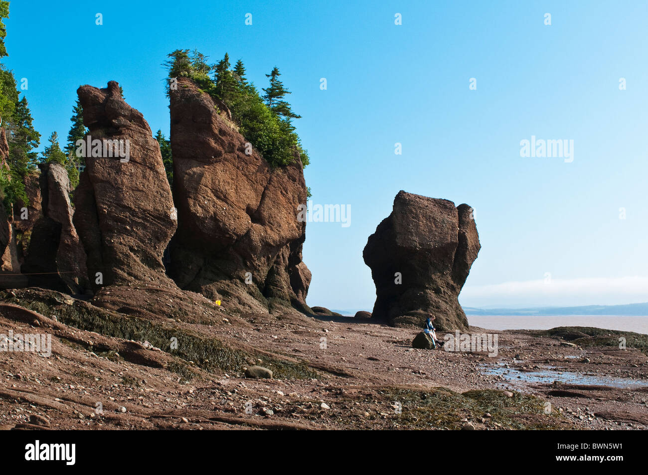 New Brunswick, Canada. Hopewell Rocks and The Ocean Tidal Exploration ...