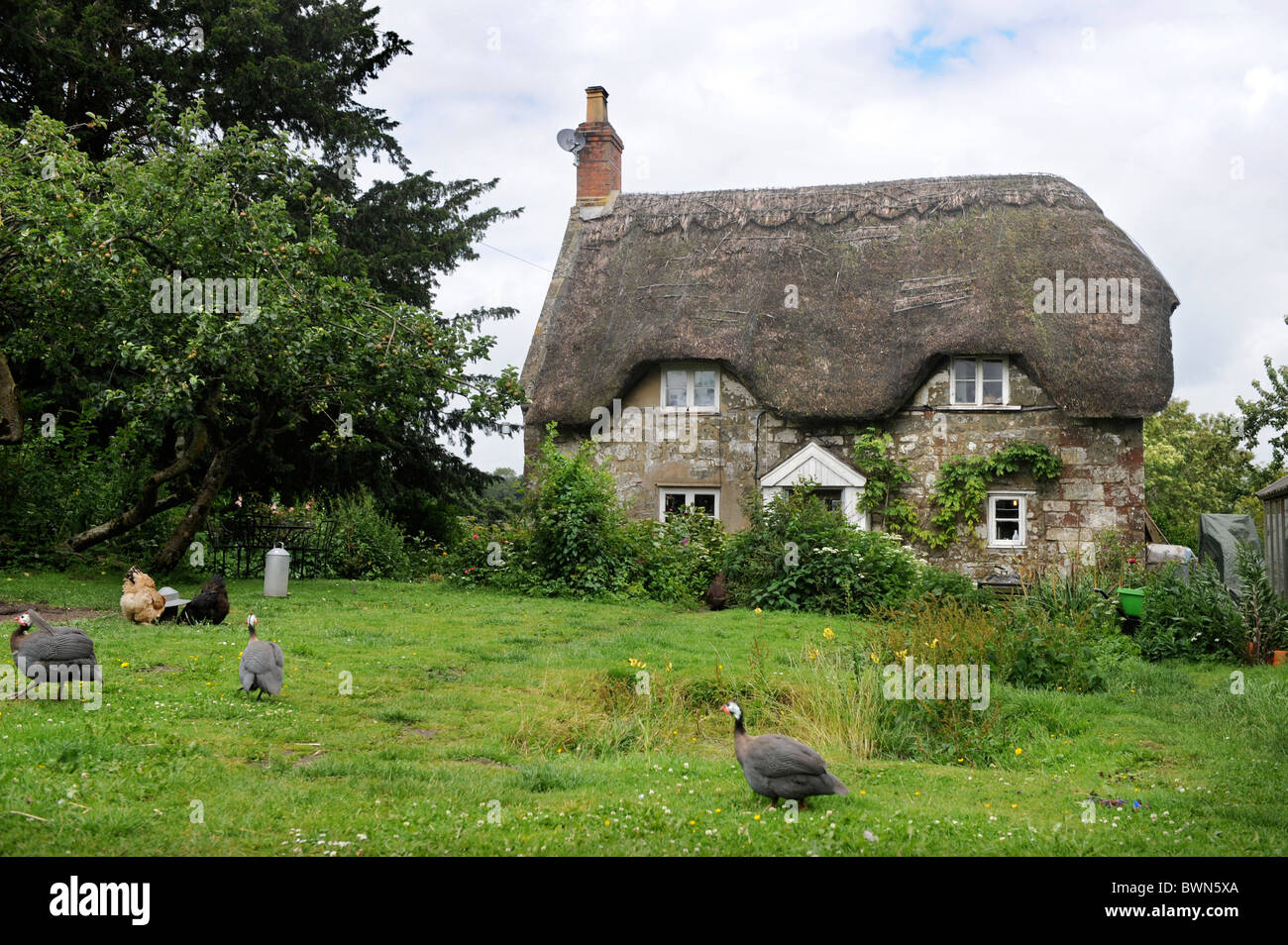 A thatched cottage with chickens in the garden Wiltshire, UK Stock ...