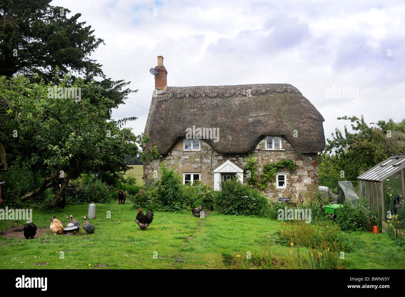 A thatched cottage with chickens in the garden Wiltshire, UK Stock ...