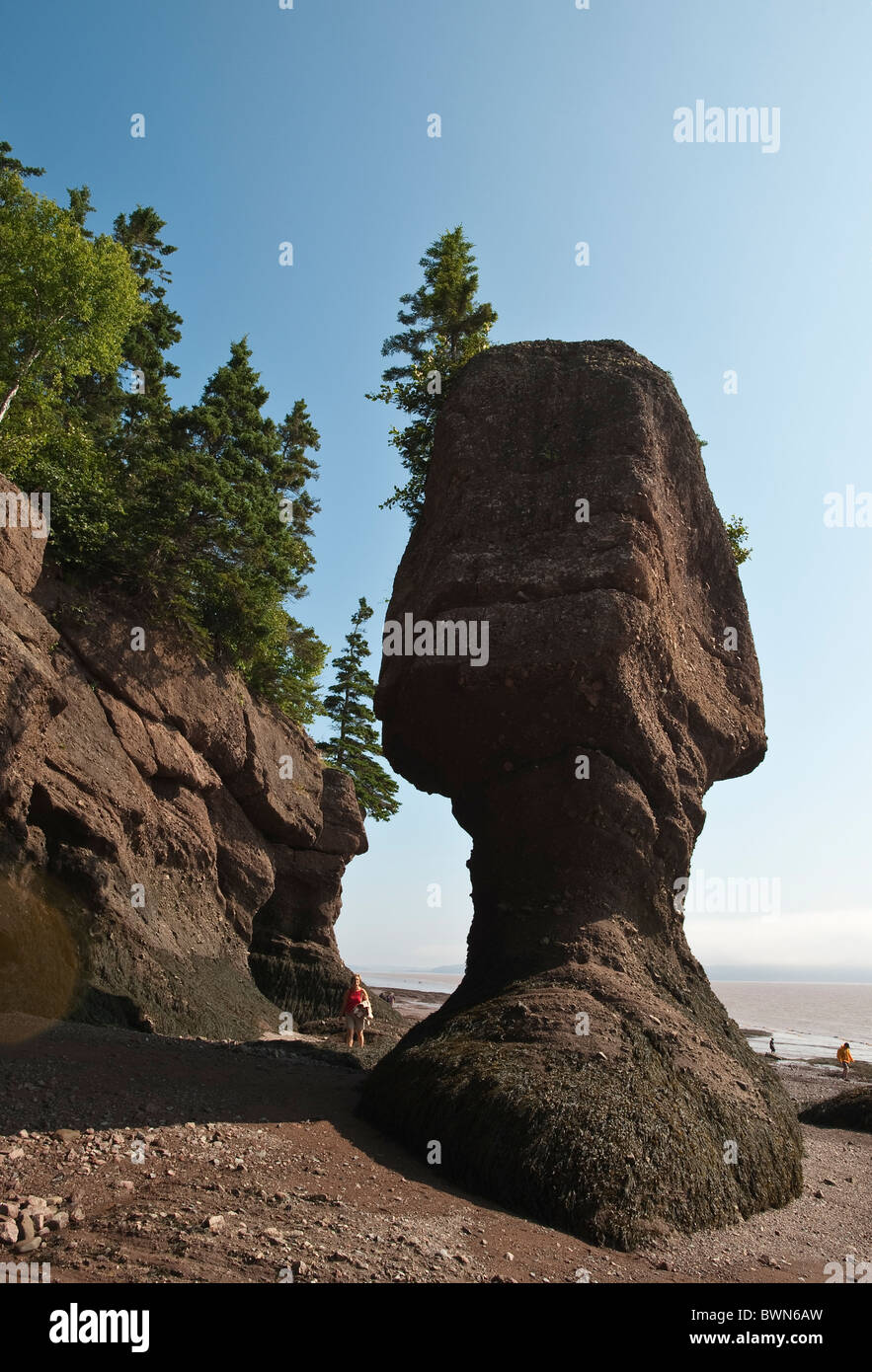New Brunswick, Canada. Hopewell Rocks and The Ocean Tidal Exploration ...
