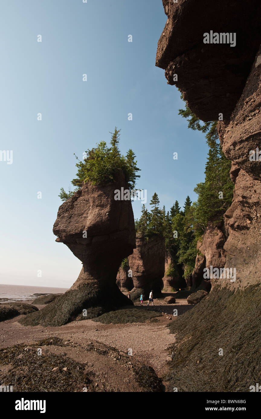 New Brunswick, Canada. Hopewell Rocks and The Ocean Tidal Exploration ...