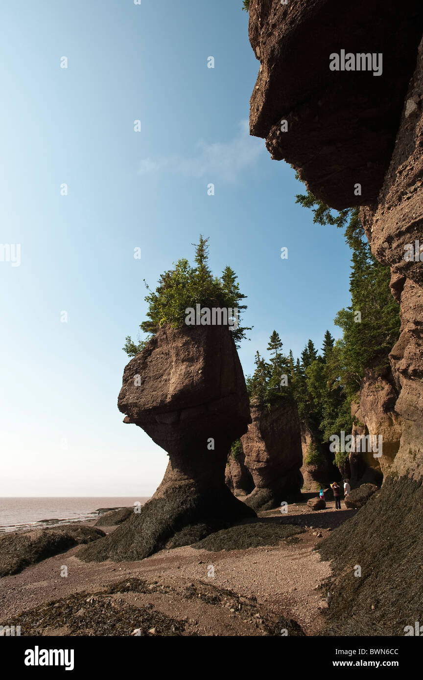 New Brunswick, Canada. Hopewell Rocks and The Ocean Tidal Exploration ...