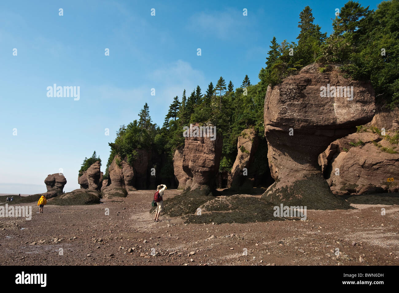 New Brunswick, Canada. Hopewell Rocks and The Ocean Tidal Exploration ...