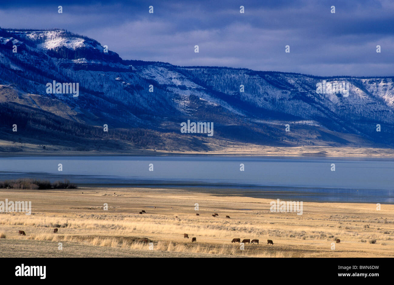 Paisley oregon hires stock photography and images Alamy