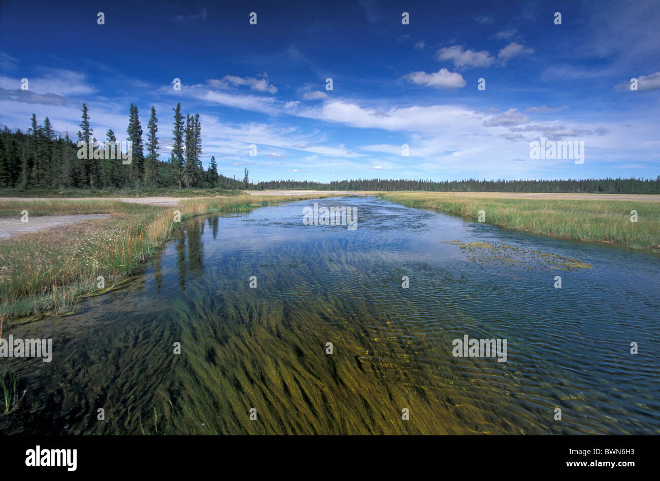 Wood Buffalo National Park Lake High Resolution Stock Photography and  Images - Alamy