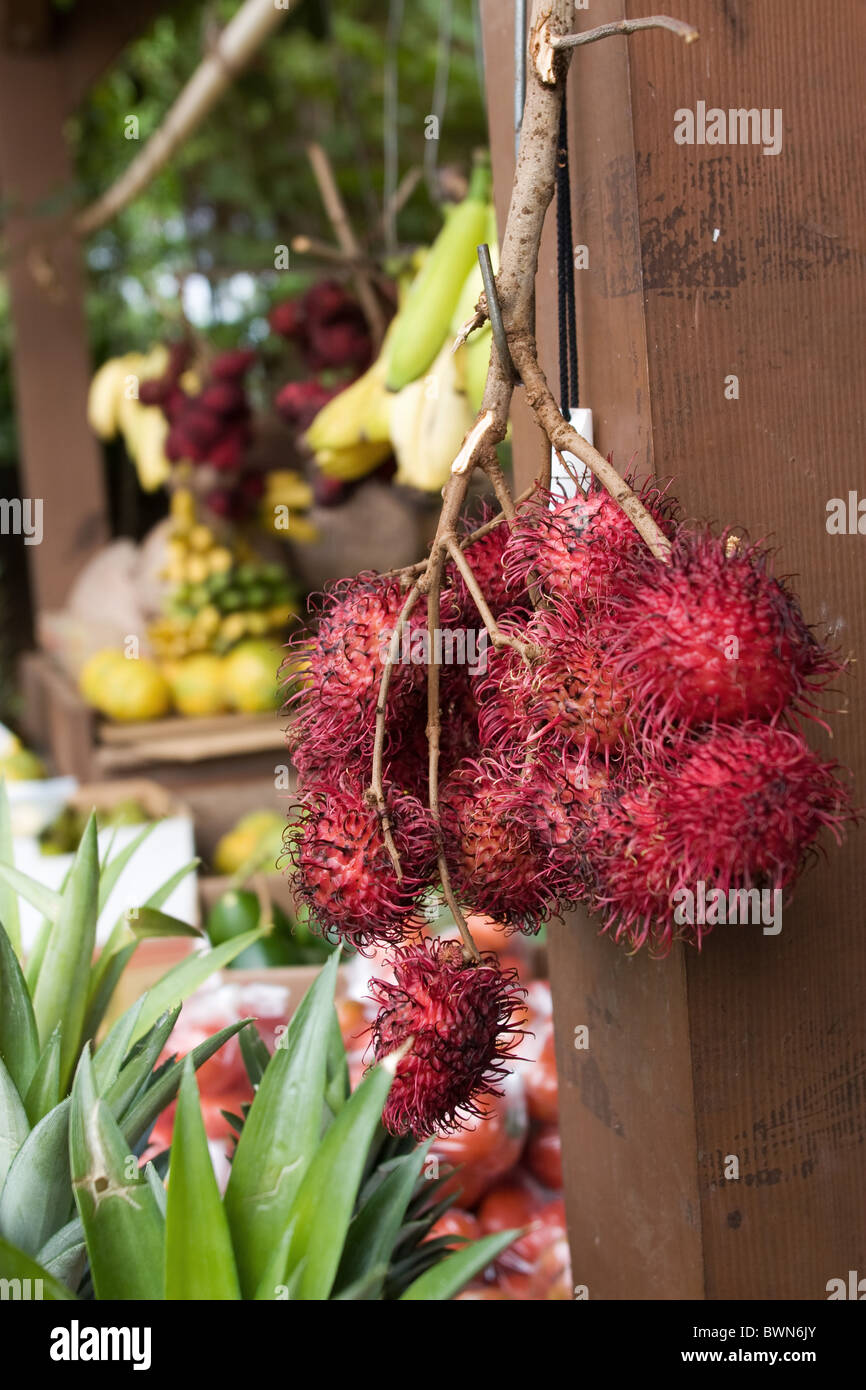 Various tropical fruits at a roadside fruit stand outside of Kahuku, Hawaii. Stock Photo