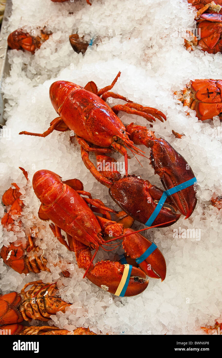 Lobster for sale, Alma, New Brunswick, The Maritimes, Canada. Stock Photo