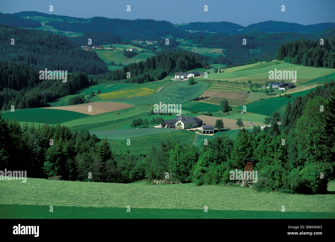 Austria Europe Landscape near Weitersfelden Oberosterreich Upper Austria field fields green hamlets farm fa Stock Photo
