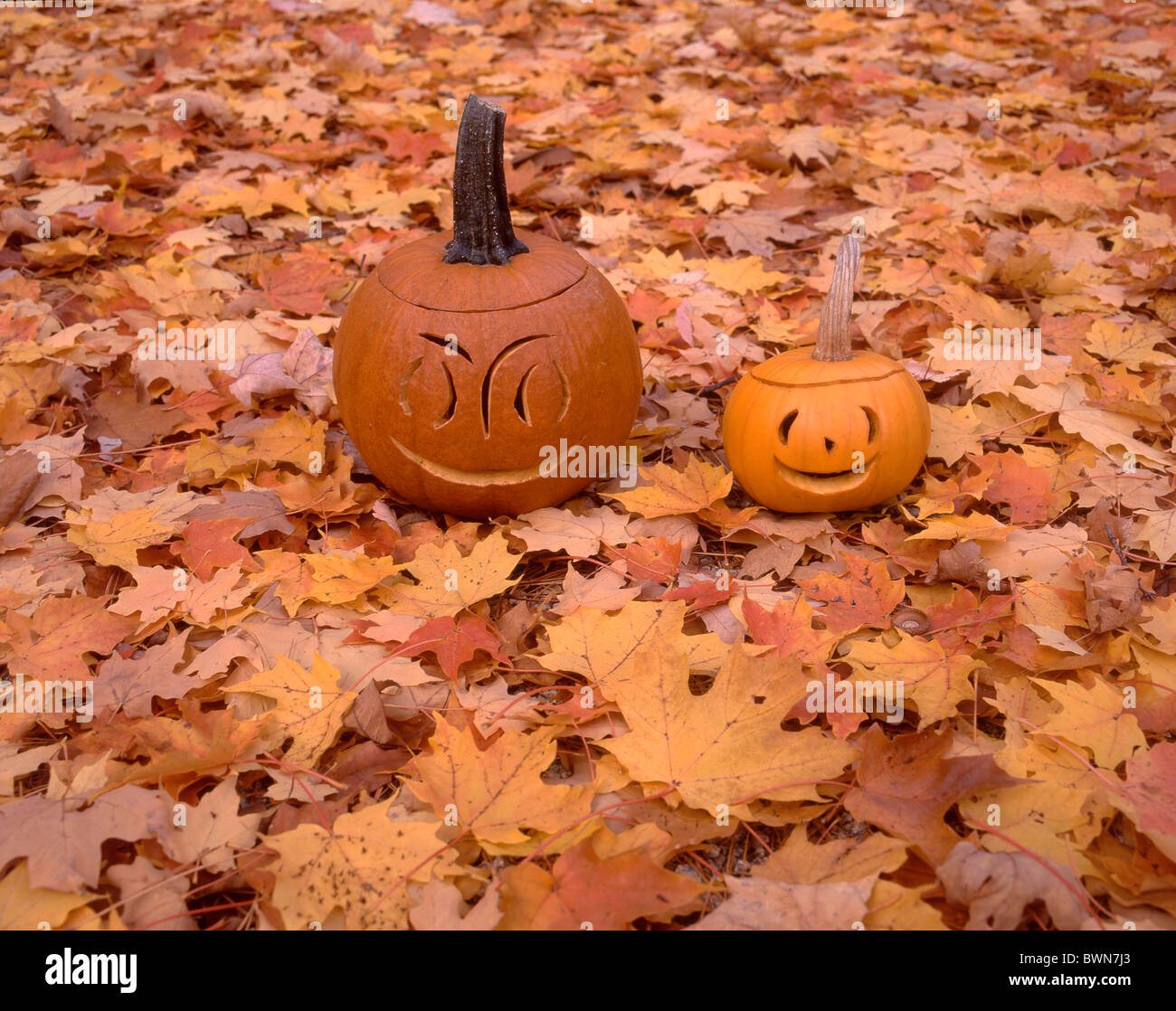 ニューイングランドのハロウィン 保障